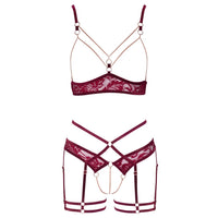 Abierta Fina Open Red Lace Set-3